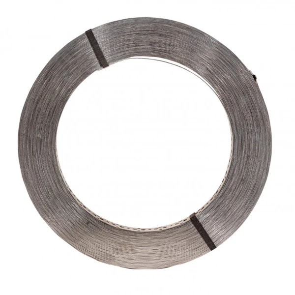 Feuillard Largeur 20 Mm épaisseur 0.9 Mm X 10 M : Simpson Strong-Tie FB20 2 Feuillard Largeur 20 Mm épaisseur 0.9 Mm X 10 M : Simpson Strong-Tie FB20 – Image 2