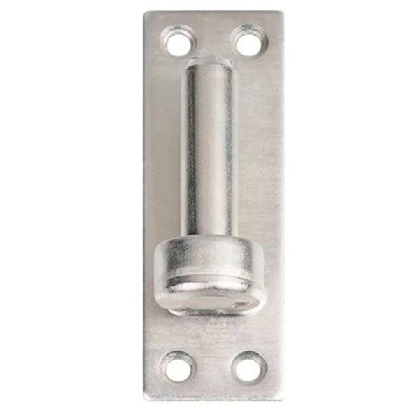 Gond Sur Plaque 40x120mm Diamètre 16mm Avec Trous Fraisés Zingué Blanc 1 Gond Sur Plaque 40x120mm Diamètre 16mm Avec Trous Fraisés Zingué Blanc